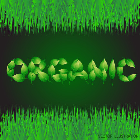Green background with text organic made from leaves. Illustration with vegetative grasses border.Vector illustration.のイラスト素材