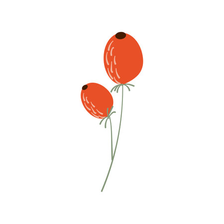 Red rosehip berry flat icon with inscription colorful vector illustration of eco food isolated on white.のイラスト素材