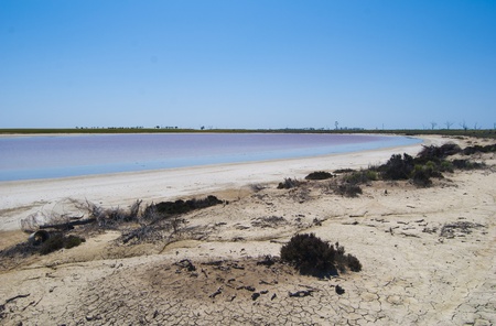 pink lakeの写真素材