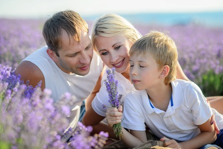 Happy family in a field of lavender on sunset.の写真素材