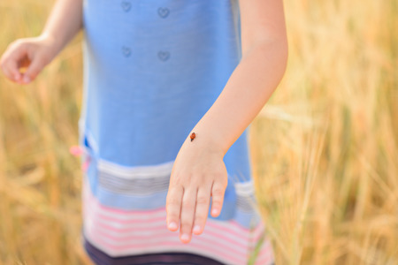 A child in amazing clothes walking through the field of rye.