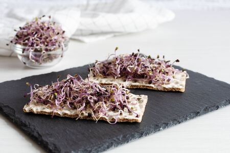 Crispbread with red cabbage sprouts on black board. Sprouted seeds. Detox. Healthy eating concept.の写真素材