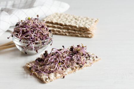Crispbread with red cabbage sprouts on white wooden table. Sprouted seeds. Detox. Healthy eating...