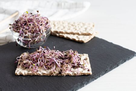 Crispbread with red cabbage sprouts on black board. Sprouted seeds. Detox. Healthy eating concept.の写真素材