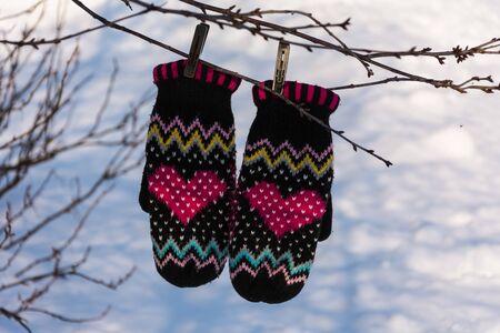 Warm mittens with pink love heart on the tree branch. Woman accessory, warm fashion gloves .の写真素材