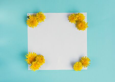 White blank on the pastel color background with summer yellow flowers dandelions. Mockup for design. Greeting card.の写真素材