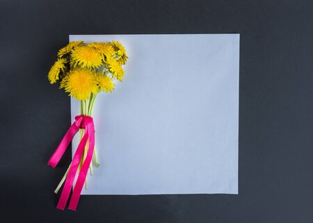 White blank on the pastel color background with bouquet yellow flowers dandelions. Mockup for design. Natural greeting card.の写真素材