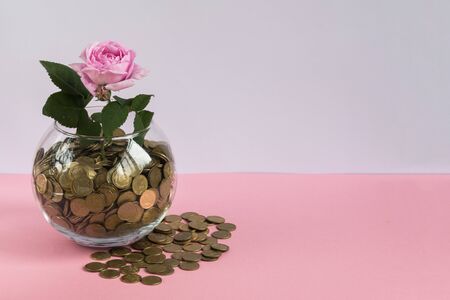 Save money concept. Vase with coins and grow plant flower. Glass money box, growth investment.の写真素材