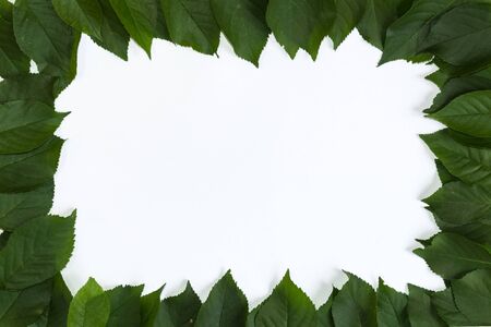 Blank for text. Leaf frame.Mockup for design. Natural floral background.
