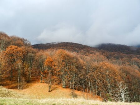 Beautiful autumn mountains landscape. Fall forest.の写真素材