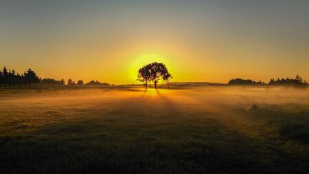 Countryside sunrise landscape. Beautiful morning.の写真素材