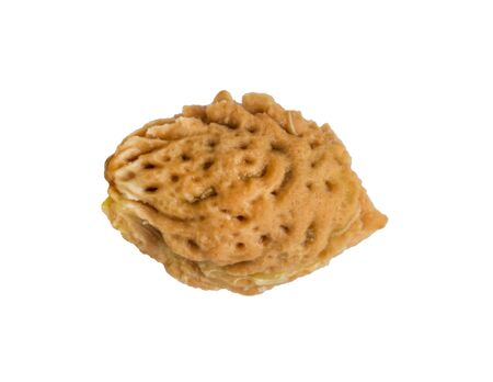 Peach core isolated on white background. Peach kernel.の写真素材