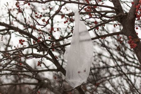 Plastic bag on the tree outside. Ecological problems concept.の写真素材