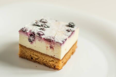 Cheesecake with fruits. A piece of cake with cream and soft cheese on white plate.の写真素材
