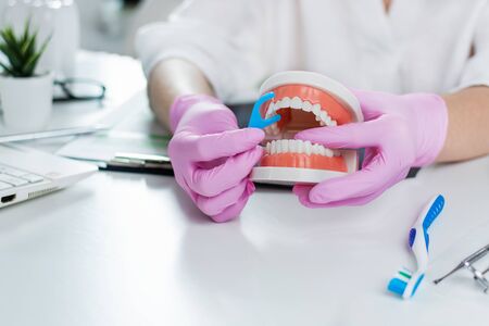 Dentist showing on jaw model how to clean the teeth correctly with dental floss.
