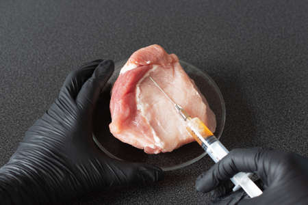 Researcher injecting GMO a slice of pork meat. Genetically modified organism, harmful for peples health. Meat with antibiotics concept.の写真素材