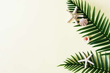 Tropical palm leaves and seashells on yellow top view. Summer background. Copy space.