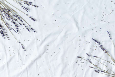 Background of dried lavender flowers on white background top view. Flowers composition.