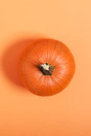 Pumpkin top view on orange background. Thanksgiving day or halloween time. Vertical orientation.の写真素材