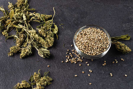 Hemp dried buds and seeds on black background. Alternative medicine. Cannabis superfood. Hemp supplement.の写真素材