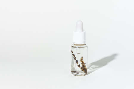 Droplet bottle of cosmetic lavender oil for skin care on white background with shadow. Hydrating herbal serum, vitamin for face skin.の写真素材