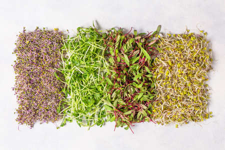 Mix of various sprouts on white background top view. Sprouted seeds. Healthy eating, detoxification.の写真素材