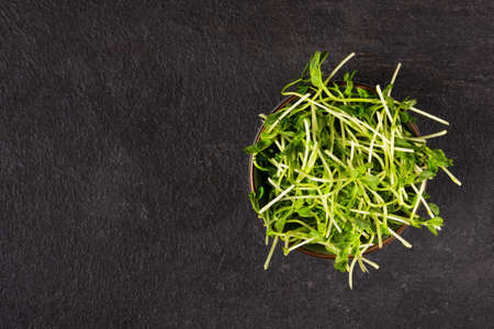 Bowl with peas microgreens on black background top view. Sprouted seeds. Healthy eating sprouts.の写真素材