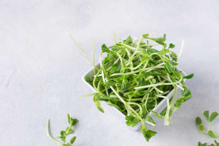 Bowl with peas microgreens on grey background. Sprouted seeds. Healthy eating sprouts.の写真素材