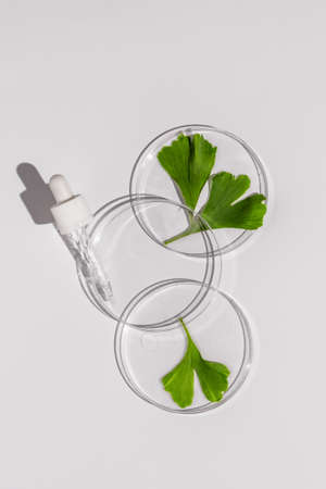 Abstract petri dishes with herbal cosmetic on white background top view. Science cosmetic laboratory concept. Cosmetology research, skin care products.の写真素材