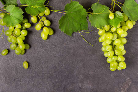 Bunch of ripe green grape with leaves on black background top view. Grape fruit background with copy space for design.の写真素材