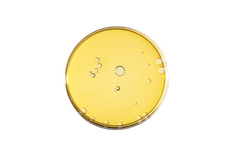 Abstract oil circle bubbles in a petri dish top view. Laboratory cosmetic or medicine background.の写真素材