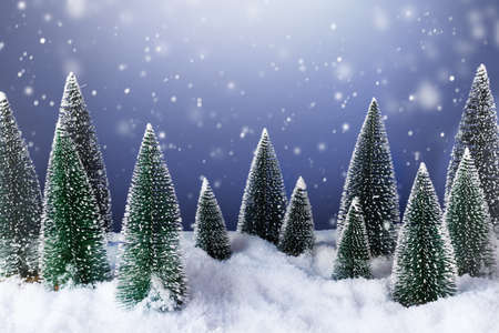 Winter forest with Christmas trees in snowy night.  Christmas winter greeting card.の写真素材