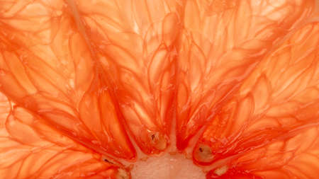 Grapefruit slice macro texture. Grapefruit citrus fruit background.の写真素材