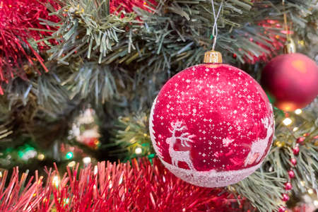 Red Christmas ornament on Christmas tree. Christmas greeting card.の写真素材