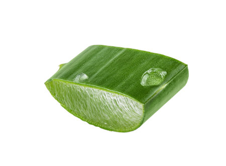Fresh Aloe vera slice with aloe vera gel drops isolated on white background. Aloe vera leaf slice for design of herbal medicine or skin care treatment.の写真素材