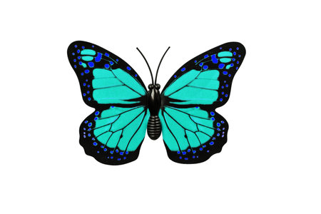 Turquoise butterfly isolated on white background top view. Butterfly as an element for design.の写真素材