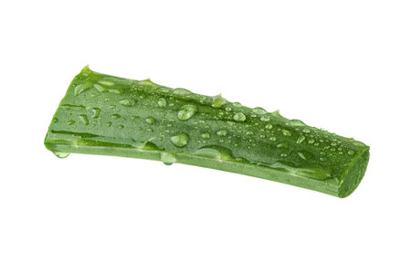 Fresh Aloe vera slice with aloe vera gel drops isolated on white background. Aloe vera leaf slice for design of herbal medicine or skin care treatment.の写真素材