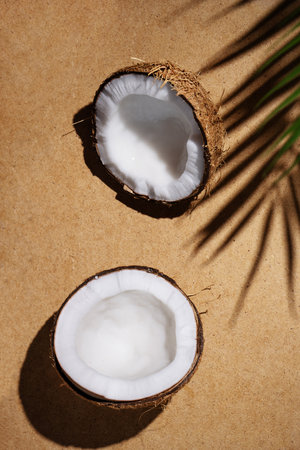 Summer tropical background with coconut and palm leaf shade.  Cracked coconut and palm leaf on beige background. Summer wallpaper.の写真素材