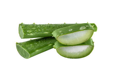 Fresh Aloe vera slice with aloe gel isolated on white background. Aloe vera leaf slice for design of herbal medicine or skin care treatment.の写真素材