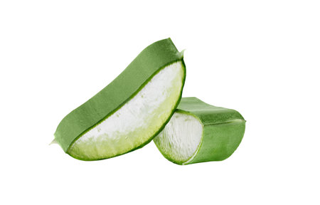 Fresh Aloe vera slice isolated on white background. Aloe vera leaf slice for design of herbal medicine or skin care treatment.の写真素材