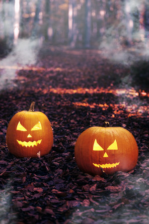 Halloween Jack o'lantern pumpkin in a spooky forest at night. Halloween holiday background.の写真素材