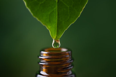 Alternative herbal  medicine concept. Herbal essence dropping from fresh leaf to the bottle. Organic herbal skin care serum.の写真素材