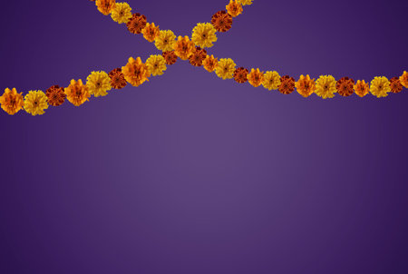 Marigold flowers garland on purple background with copy space. Day of the dead or halloween background.の写真素材