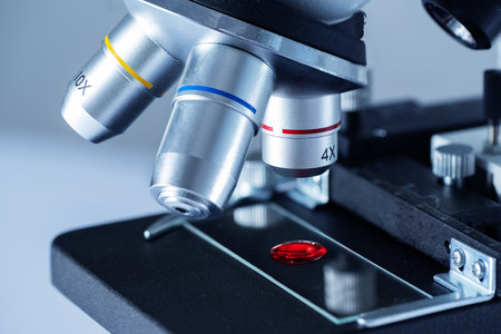 Blood sample on a glass slide under a microscope in the laboratory. Blood test research.の写真素材
