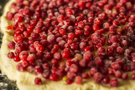 Uncooked red currant pie in a metal pie pan. Red fruits and berries. Close up.の写真素材