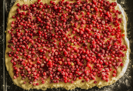Uncooked red currant pie in a metal pie pan. Red fruits and berries.の写真素材