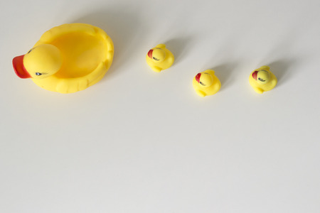 Row of yellow ducks on white background. Flat lay. Leadership and following conceptの写真素材