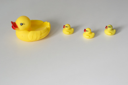 Row of yellow ducks on white background. Leadership and following conceptの写真素材