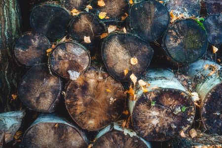 Log cuts, stack of wood for winter. Wooden natural background of woodpile with autumn leavesの写真素材