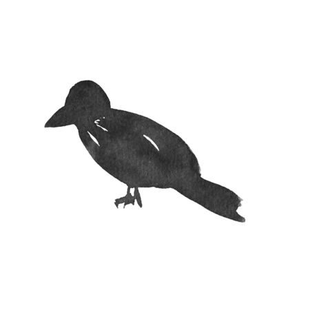 Black watercolor ink raven on a white background isolated, hand-drawn decorative element